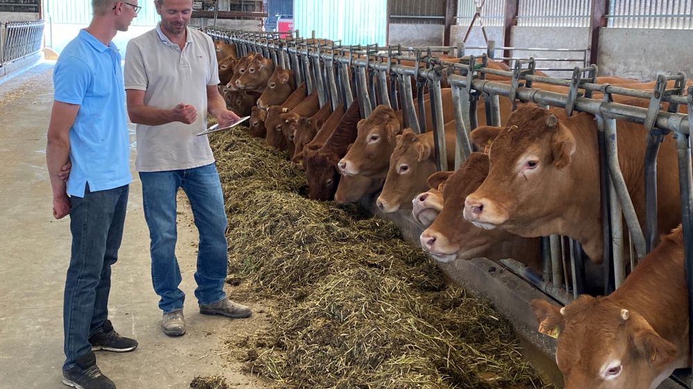 Jacques-Pierre Quaak (à droite), associé de la ferme d’Arcy, et Baptiste, le responsable élevage de l’exploitation. © Interbev